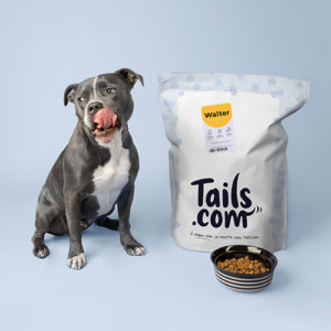 Tails_500x500-e1641905463837